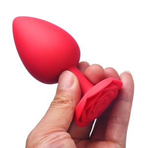Adult anal toys