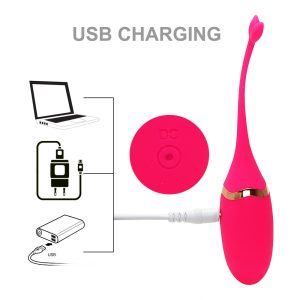 China Adult Products Vibrating Kegel Ball