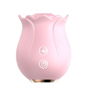 clitoral suction vibrators