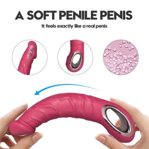 Vibrating Dildo with 10 Frequency for Distributor
