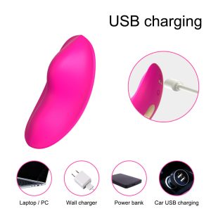 remote controlled vibrating panties