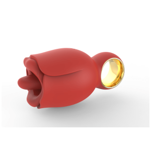 Vibrators vendor