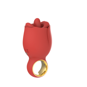 Vibrators vendor