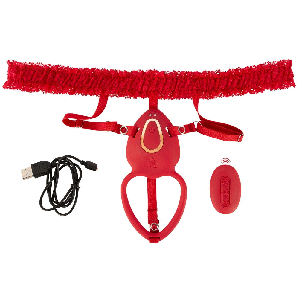Customize Pantie Vibrator with Remote Control